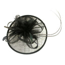 Women Girls Party Charms Bridal Fascinator Hairclip Wedding Headpiece Feather Hairpin Hair Decor Accessory Black