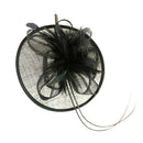 Women Girls Party Charms Bridal Fascinator Hairclip Wedding Headpiece Feather Hairpin Hair Decor Accessory Black
