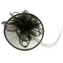 Women Girls Party Charms Bridal Fascinator Hairclip Wedding Headpiece Feather Hairpin Hair Decor Accessory Black