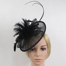Women Girls Party Charms Bridal Fascinator Hairclip Wedding Headpiece Feather Hairpin Hair Decor Accessory Black