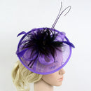 Women Girls Party Charms Bridal Fascinator Hairclip Wedding Headpiece Feather Hairpin Hair Decor Accessory Purple