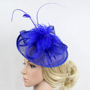 Women Girls Party Charms Bridal Fascinator Hairclip Wedding Headpiece Feather Hairpin Hair Decor Accessory Royal Blue