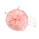 Women Girls Party Charms Bridal Fascinator Hairclip Wedding Headpiece Feather Hairpin Hair Decor Accessory Pink