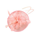 Women Girls Party Charms Bridal Fascinator Hairclip Wedding Headpiece Feather Hairpin Hair Decor Accessory Pink