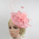 Women Girls Party Charms Bridal Fascinator Hairclip Wedding Headpiece Feather Hairpin Hair Decor Accessory Pink