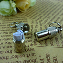 2pcs Pet Necklace Pendant ID Tag Collar Charm Silver Alloy Keychain Key Chain Rings Necklace Accessories for Dogs Cats