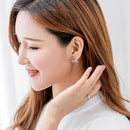 Elegant 925 Sterling Silver Women Ear Stud Crystal Zircon Hook Earrings