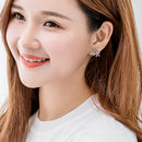 Elegant 925 Sterling Silver Women Ear Stud Crystal Zircon Hook Earrings