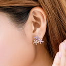 Elegant 925 Sterling Silver Women Ear Stud Crystal Zircon Hook Earrings