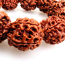Tibetan Buddhis Prayer Rudraksha Bead Bracelet Elastic Wristband Fashion Jewelry