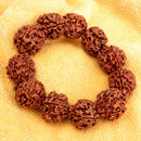 Tibetan Buddhis Prayer Rudraksha Bead Bracelet Elastic Wristband Fashion Jewelry