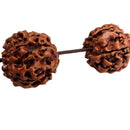 Tibetan Buddhis Prayer Rudraksha Bead Bracelet Elastic Wristband Fashion Jewelry
