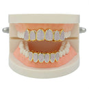 18K Gold Plated Pink Crystal Zircon Teeth Mouth Grills Caps Hip Hop for Halloween Christmas Gift