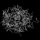 100 Pieces Coil Ear Wire Hooks DIY Earrings Hooks For Women Jewelry Findings
