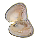 Naural White Freshwater Cultured Genuine Pearl 9.5-10mm 925 Sterling Silver Chain 18'' Necklace for Women AAAA Quality