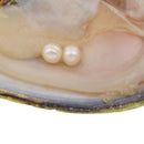 Naural White Freshwater Cultured Genuine Pearl 9.5-10mm 925 Sterling Silver Chain 18'' Necklace for Women AAAA Quality