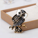 Fashion Women Alloy Enamel Exquisite Cute Owl Animal Brooch Pin Jewelry Gift