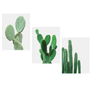 3pcs Canvas Painting Cactus Decor Nordic Plants Wall Art Cactus Decoration Unframed
