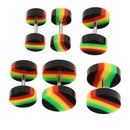 6 Pieces Acrylic Ear Earrings Flesh Tunnel Stainless Steel Fake Plugs 18g