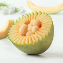 Egrow 50Pcs/Pack Cantaloupe Seeds Honey Yellow Flesh Sweet Melon Fruit Seed Summer Muskmelon Plants