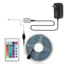 5M 3528 RGB 300 Flexible LED Strip Light With 24Keys Or 44 Keys Infrared Remote Control for Home Outdoor Use