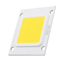 20W/30W/50W Warm White/White 3000K / 6000K LED Flood Light COB Light Led Chip DC30-34V