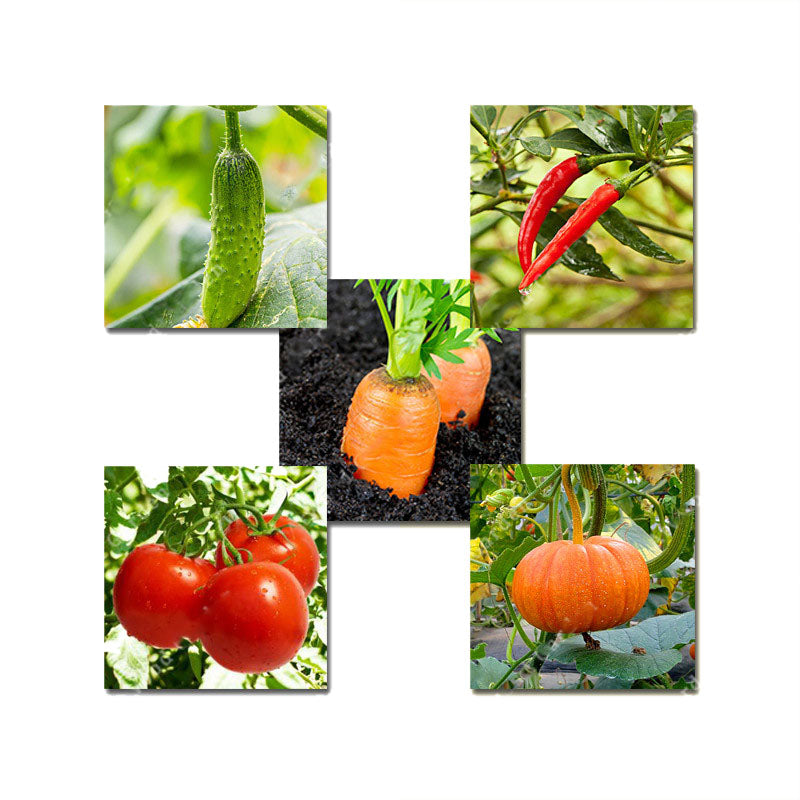 Egrow 10 Kinds Mixed Vegetable Seeds Real Green Non-gmo Organic Vegetable Seeds Edible Planting