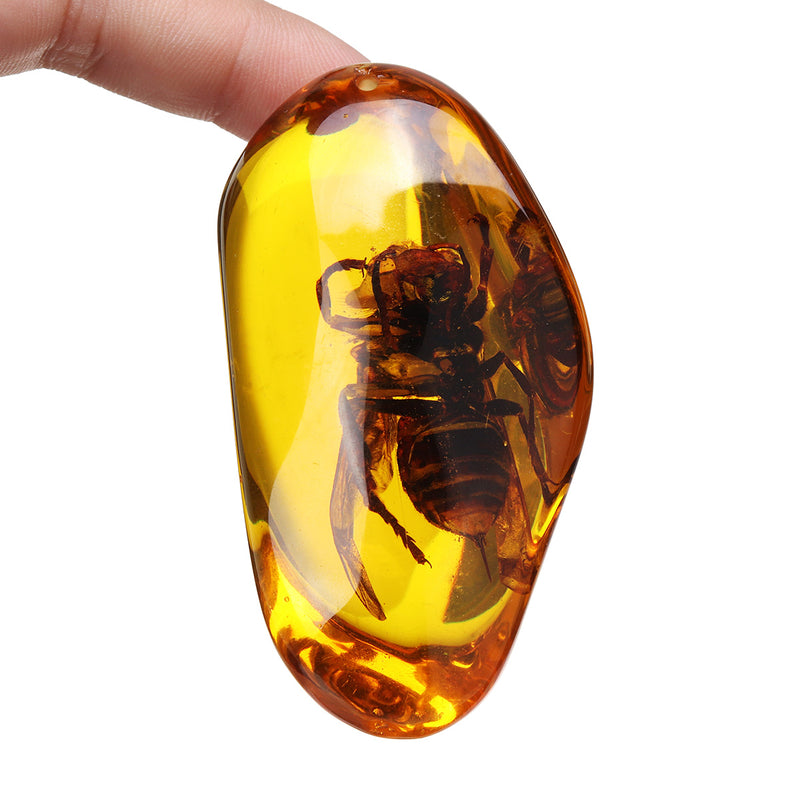 Beautiful Amber Hornet Petrifaction Insects Manual Polishing Insect Specimens Home Decorations