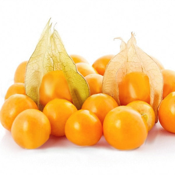 Egrow 20Pcs/pack Physalis Seeds Garden Fruit Flower Latern Golden Berry Tree Seeds