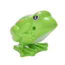 Wind Up Clockwork Frog Kids Toy Collectibles