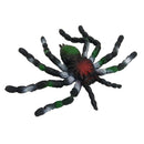 Vivid Arthropod Animal Rubber Spider Model Figure Kids Educational Toy