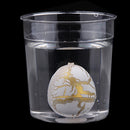 Dino World-3 Pcs Black Magic Add Water Dinosaur Hatching Dino Growing Eggs Children Toy Easter Gift