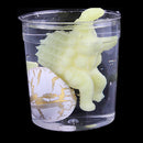3 Pcs Magic White with Color Crack Dinosaur Hatching Dino Pet Hatch-Grow Eggs Children Toy