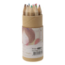 Coloured Pencil w/ Sharpener Non Toxic School Card Child Painting Set of 12