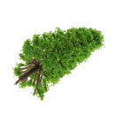 Pack 20pcs Model Cedar Trees Train Diorama Wargame Layout N 1:150 D109