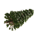 Pack 20pcs Model Tree with Snow Train Diorama Wargame Layout N 1:150 SCALE