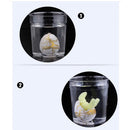 12 Pcs White Dinosaur Eggs Hatching Toy Growing Dino Pet Jurassic World