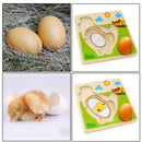 Colorful Multi Layer Puzzles Toys Chick Growing Up Learning Wood Toys