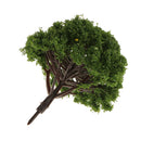Pack of 20pcs Painted Model Trees Building Train Railway Layout Scenery DIY 1:75 SA80-105