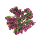 Pack of 20pcs Painted Model Trees Building Train Railway Layout Scenery DIY 1:75 SA80-D5