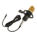 Condenser Microphone Mic Sound Studio Speech Recording Dynamic with Shock Mount Windshield Sponge Foam Cover BM700 Black