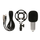 Condenser Microphone Mic Sound Studio Speech Recording Dynamic with Shock Mount Windshield Sponge Foam Cover BM700 Silver