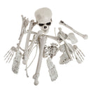 Plastic Horrible Skeletons Skull Bones Haunted House Halloween Decor Party Prop