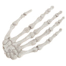 Plastic Horrible Skeletons Skull Bones Haunted House Halloween Decor Party Prop