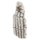 Plastic Horrible Skeletons Skull Bones Haunted House Halloween Decor Party Prop