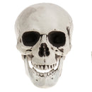 Plastic Horrible Skeletons Skull Bones Haunted House Halloween Decor Party Prop
