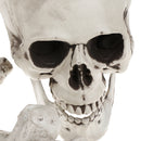 Plastic Horrible Skeletons Skull Bones Haunted House Halloween Decor Party Prop