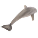 Kids Story Telling Animal Figure Showcase Display Model Educational Toy - Dolphin