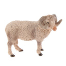 Kids Story Telling Animal Figure Showcase Display Model Educational Toy - Male Sheep