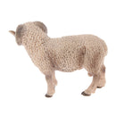 Kids Story Telling Animal Figure Showcase Display Model Educational Toy - Male Sheep